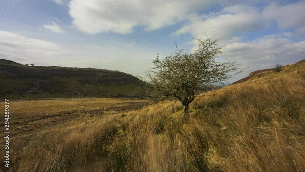 Time lapse of rural and remote landscape of grass, trees and rocks during the day in hills of Carrowkeel in county Sligo, Ireland. Time lapse of rural and remote landscape of grass, trees and rocks during the day in hills of Carrowkeel in county Sligo, Ireland.