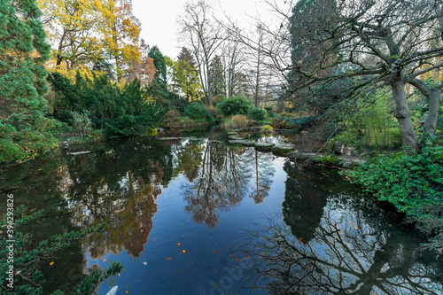 Japanische Natur Landschaft mit Bäumen und See