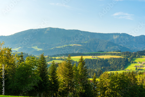 Mountain valley village landscape in Salzkammergut berge Alps . Mountain green valley village view austria near hallstatt © Martin