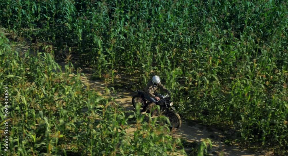 motorcyclist rides through a beautiful field motorcyclist rides through a beautiful field