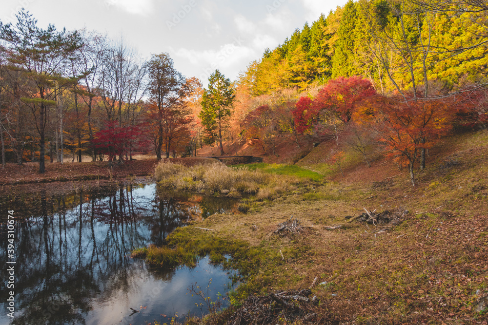 湖に反射した紅葉と山 湖に反射した紅葉と山