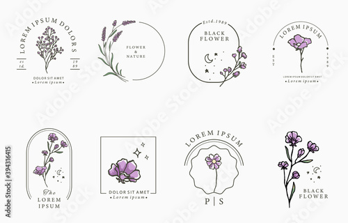 Photo Beauty lavender collection