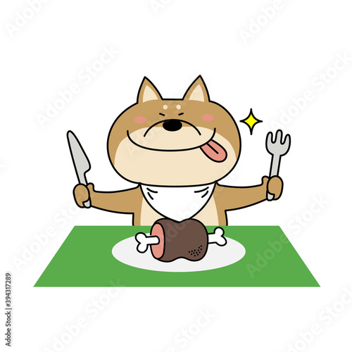 ごちそうを食べようとしている柴犬