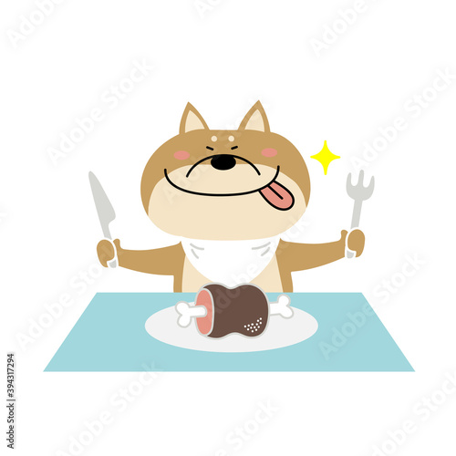 ごちそうを食べようとしている柴犬