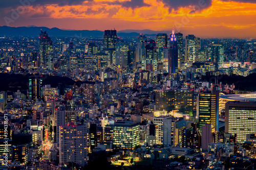 Japan. Panorama of Tokyo from a height. The Japanese capital in the evening. Big city, mountains in the background and blue-pink sky. Urban landscape. Buildings with glowing Windows at the bottom. © Grispb