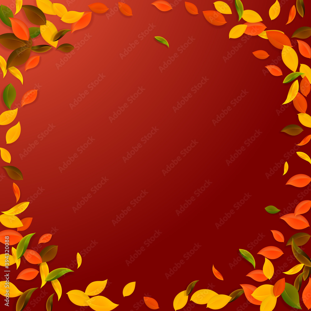 Falling autumn leaves. Red, yellow, green, brown c Falling autumn leaves. Red, yellow, green, brown c