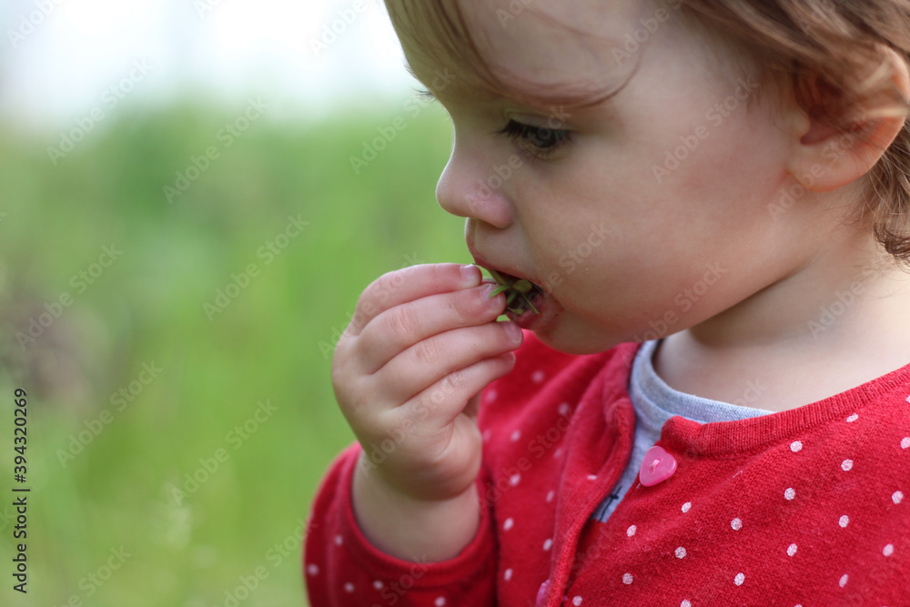Little child eats fresh strawberries. Little child eats fresh strawberries.