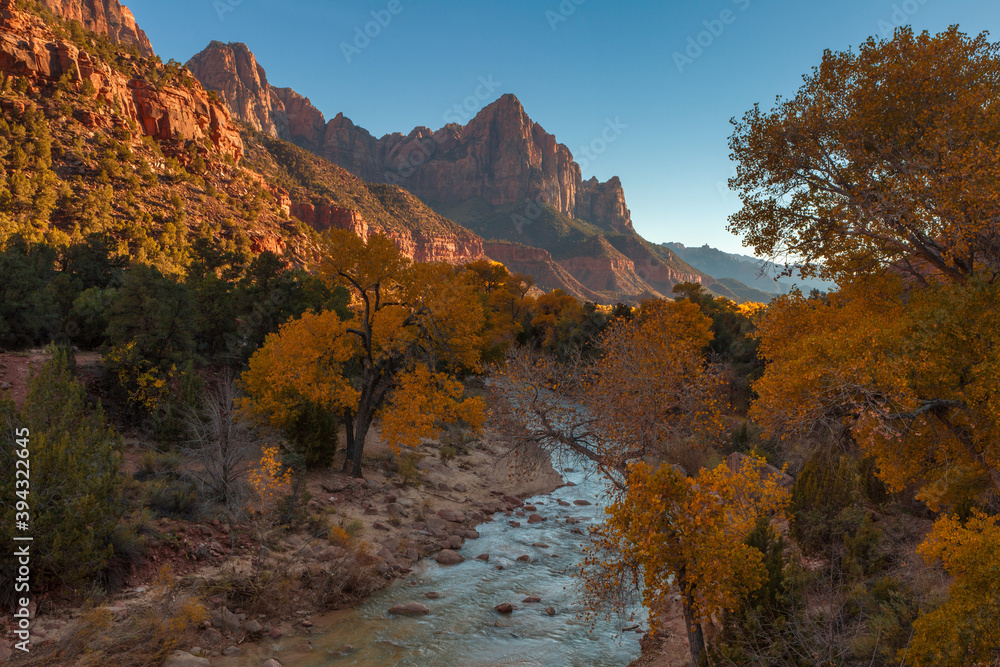 The Watchman towering over the Virgin River in Zion National Park in autumn
