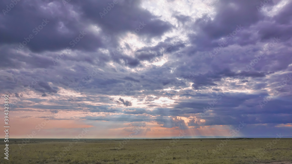 Evening in the savannah. The setting sun shines through the blue clouds, painting the sky pink. Smooth grassy ground stretches to the horizon. Kenya. Masai Mara park. Evening in the savannah. The setting sun shines through the blue clouds, painting the sky pink. Smooth grassy ground stretches to the horizon. Kenya. Masai Mara park.