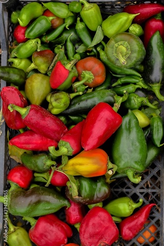 red and green peppers