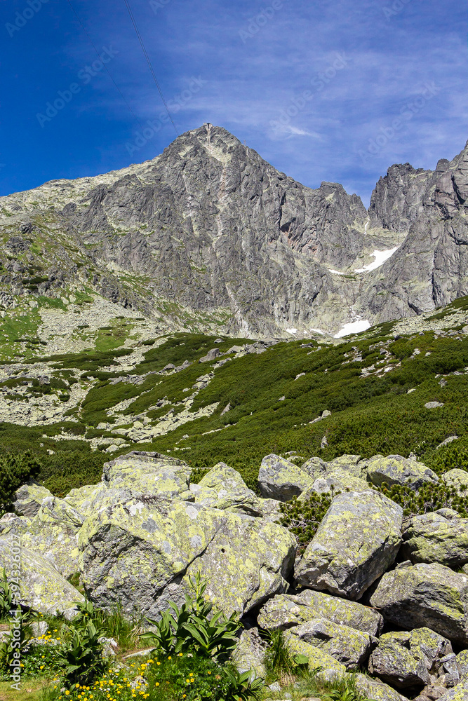 Detail of Lomnicky stit in High Tatras