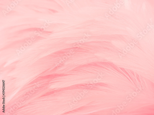 Beautiful abstract light pink feathers on white background, white feather frame texture on pink pattern and pink background, love theme wallpaper and valentines day