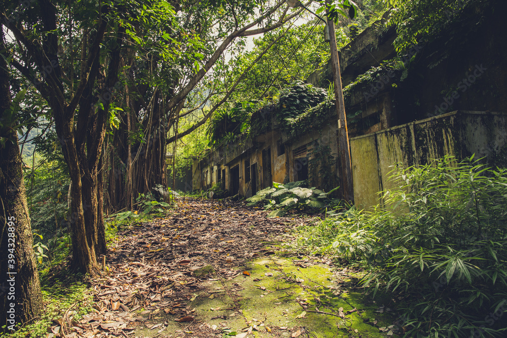 An abandoned house in the woods. Toned image. An abandoned house in the woods. Toned image.