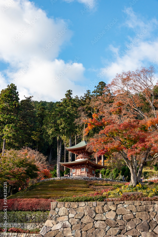 Autumn leaf colors at Katsuou-ji temple in Mino, Hyogo, Japan