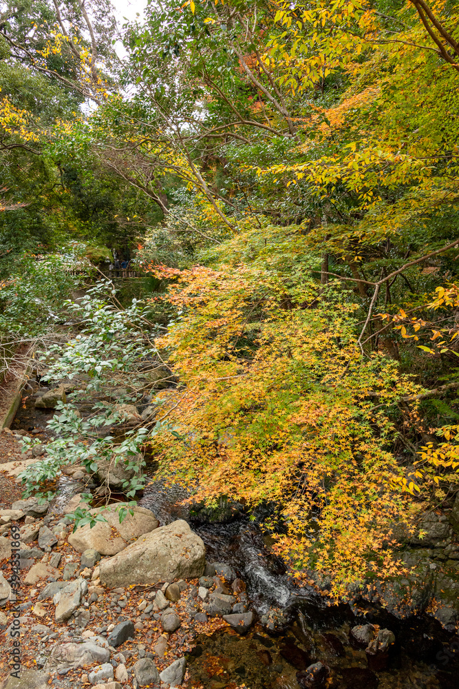 Hiking trail along Minoh river for Minoh in autumn Hiking trail along Minoh river for Minoh in autumn