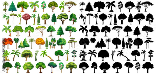 Set of plant and tree with its silhouette