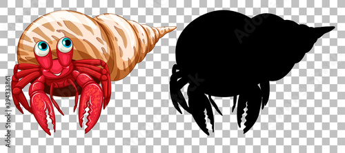 Hermit crab and its silhouette on transparent background