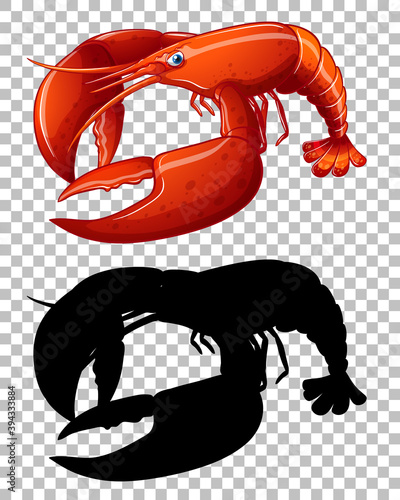 Red lobster and its silhouette on transparent background