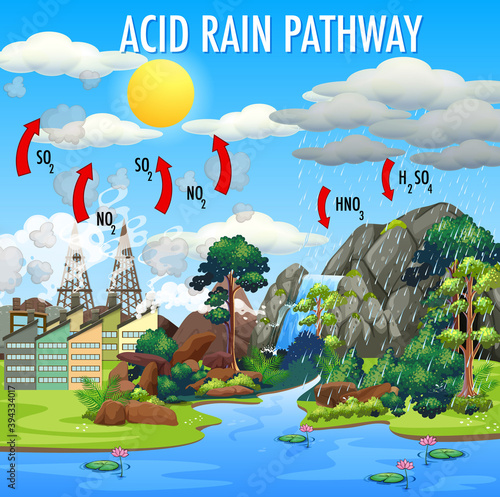 Diagram showing acid rain pathway