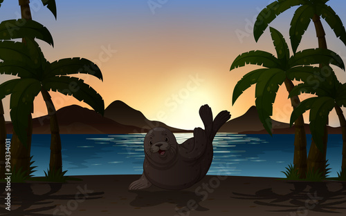 Seal in nature background silhouette