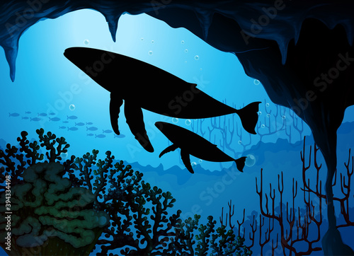 Humpback whale in nature scene silhouette
