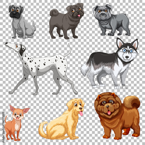 Set of different dogs isolated