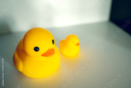 The rubber duck in the bathroom is on the shelf. © wichaiphoto