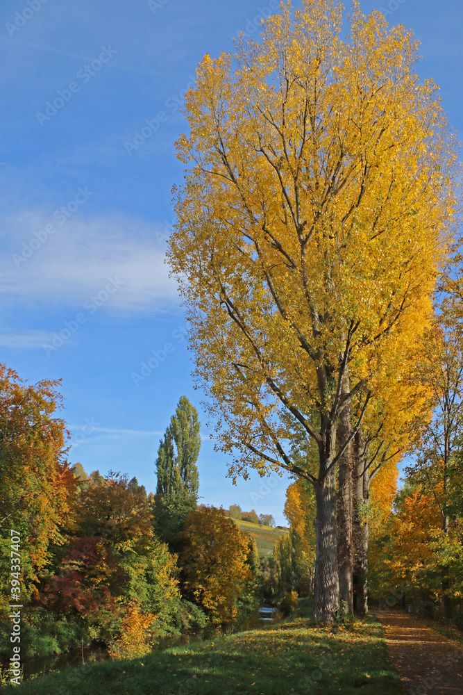 Herbststimmung