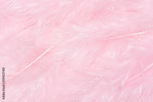 Fluffy pastel soft pink feathers Easter background