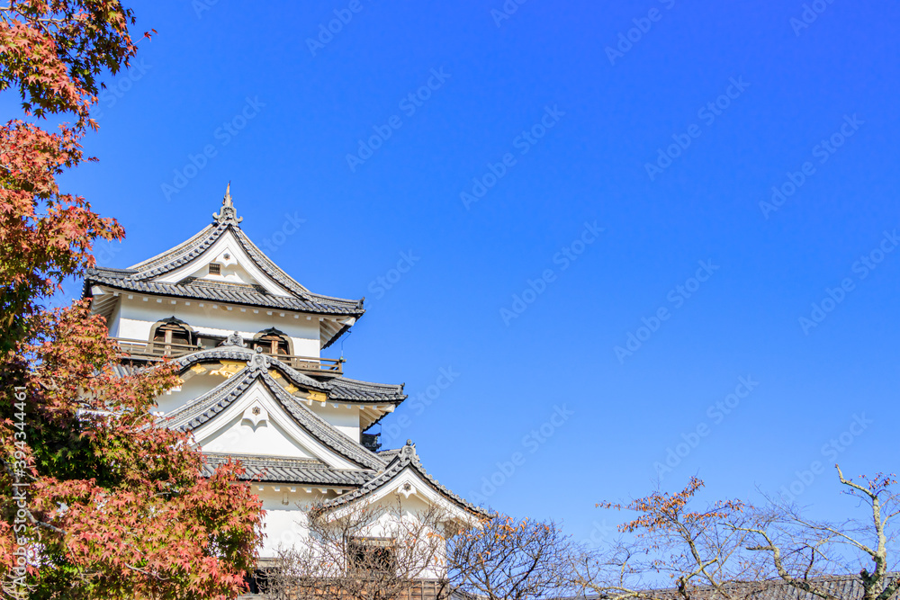 秋の彦根城 滋賀県彦根市
Autumn Hikone castle Shiga-ken Hikone city 秋の彦根城 滋賀県彦根市
Autumn Hikone castle Shiga-ken Hikone city
