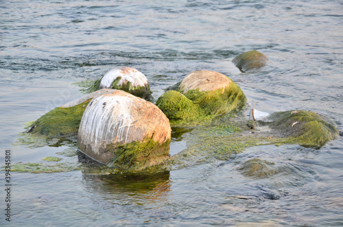 Stone in the Water Nadaun H.P India photo