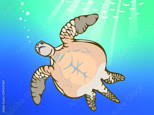 海中を泳ぐウミガメと水面から差し込む光