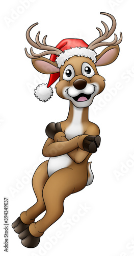 Christmas reindeer in Santa...