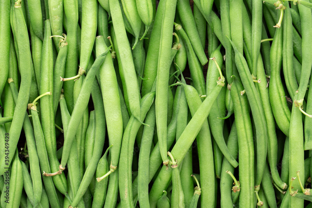 Green beans background. Fresh harvest of healthy vegetables. Green beans background. Fresh harvest of healthy vegetables.