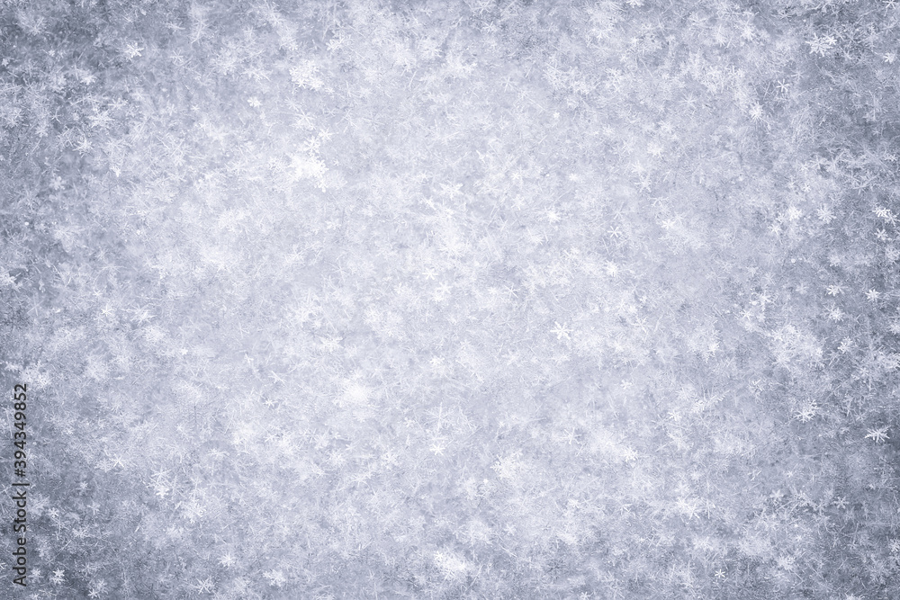 natural background of real snowflakes. high-detailed winter texture natural background of real snowflakes. high-detailed winter texture