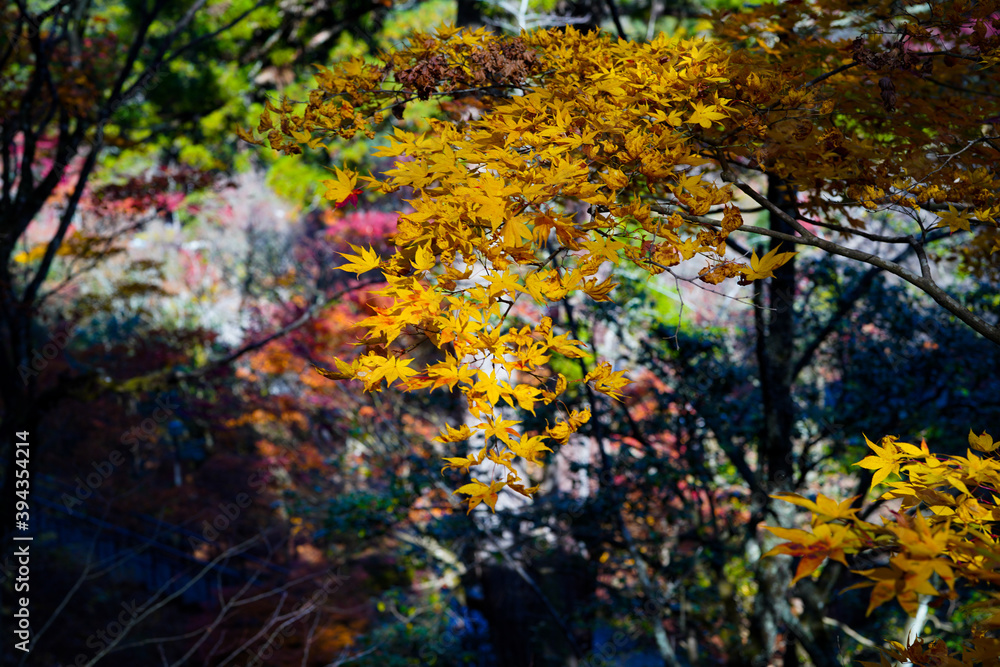 那谷寺. 