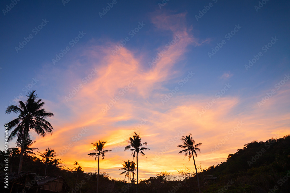 Coconut palms tropical sunset background, Boracay