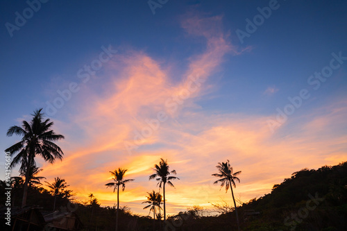 Coconut palms tropical sunset background, Boracay
