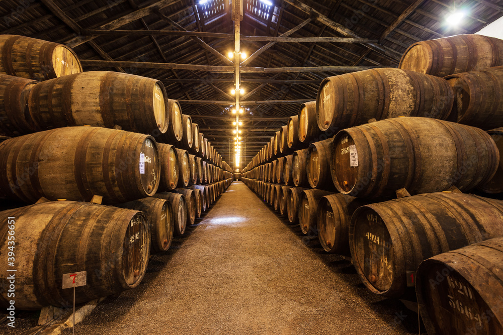 Barrels with wine in cellar, Porto