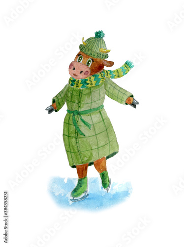 watercolor illustration of a сow on skates and in winter clothes. Symbol of the year 2021. Illustration for a postcard.