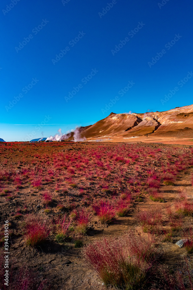 Obraz premium Geothermal active zone Hverir near Myvatn lake in Iceland, resembling Martian red planet landscape, at summer and blue sky