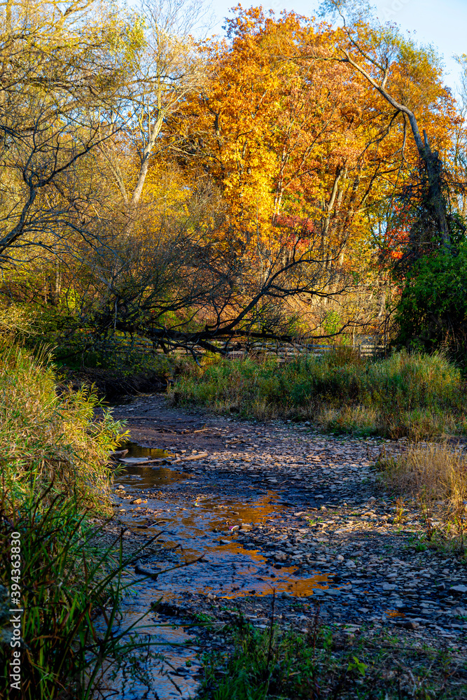 Small Stream in Fall Small Stream in Fall