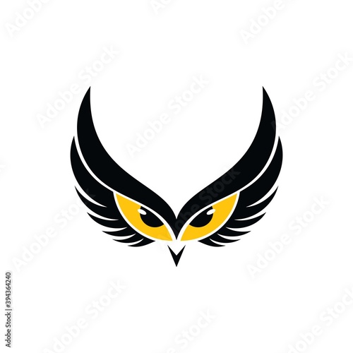 Eagle eye logo concept design template