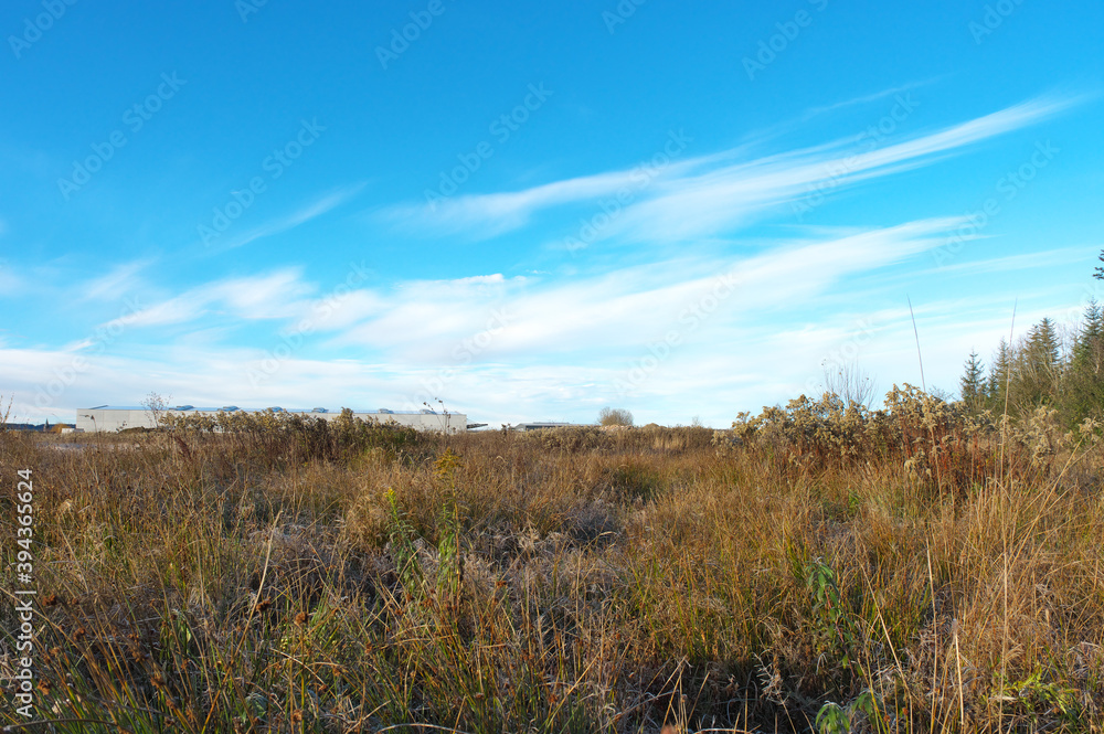 Landschaft!