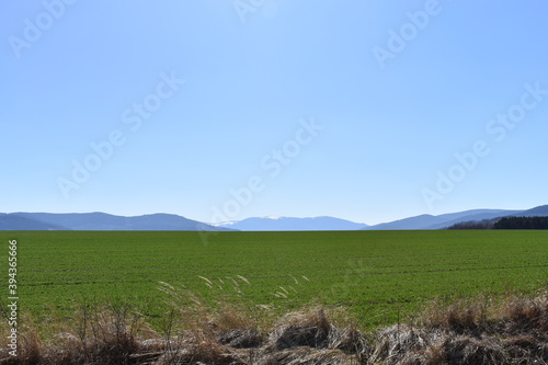 field and blue sky