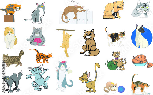 Vector illustrations set of cats