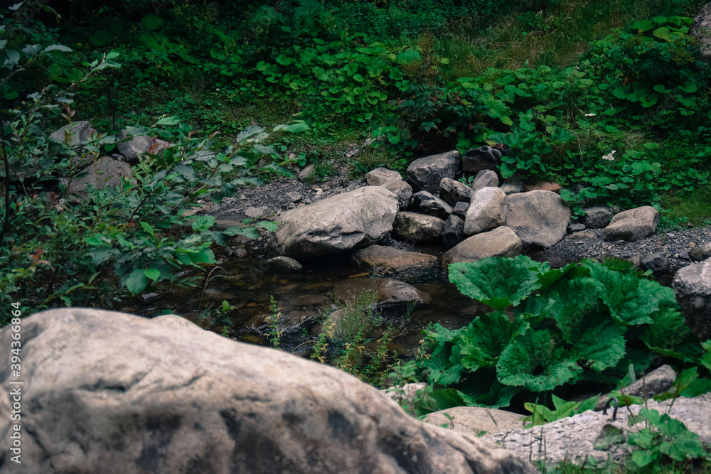 Natural Forest Stream flowing among Rocks and Greenery Surrounding it Natural Forest Stream flowing among Rocks and Greenery Surrounding it