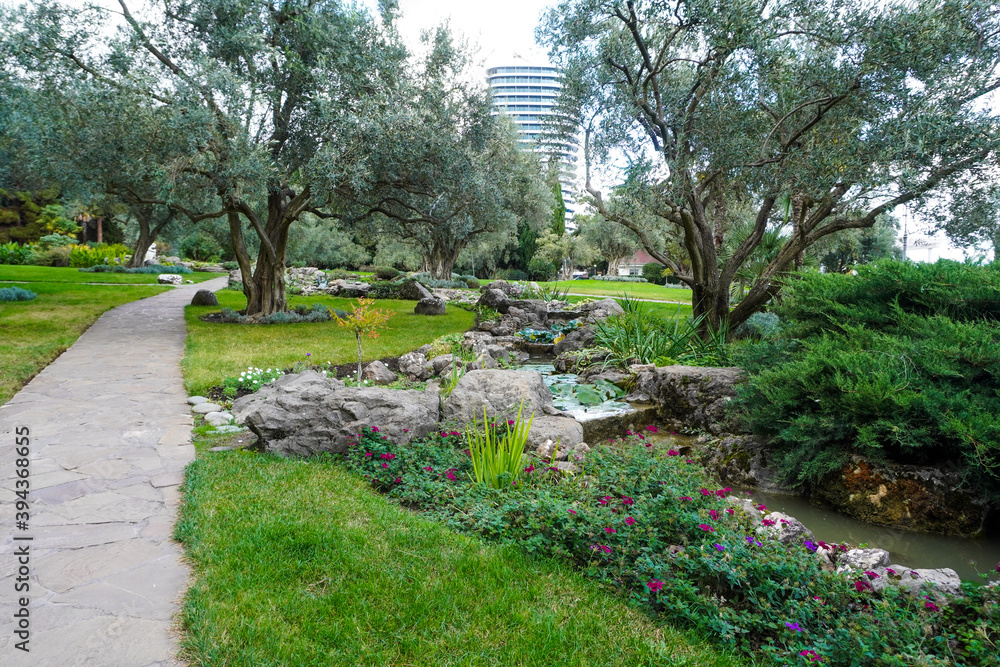 Scenic view of the park in the center of the big city in the summer. Beautiful park scene in public park with green grass field and green tree plant Scenic view of the park in the center of the big city in the summer. Beautiful park scene in public park with green grass field and green tree plant