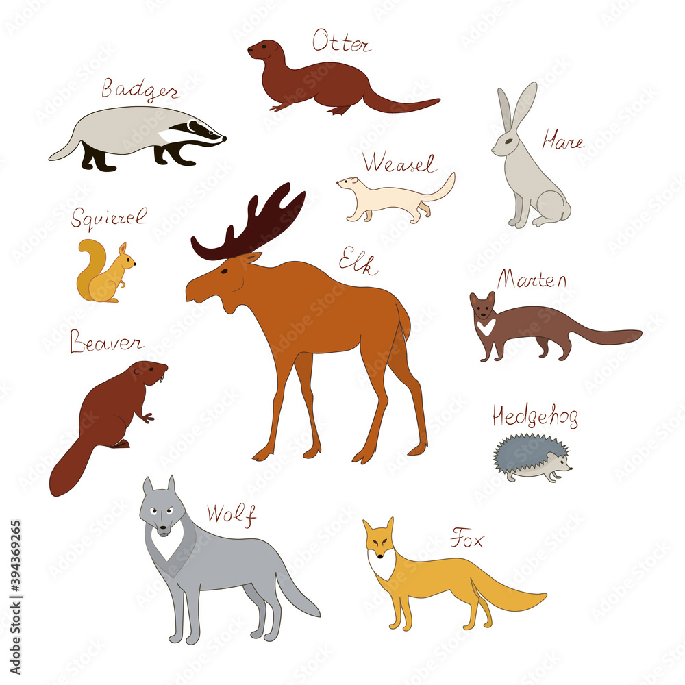 Forest animals. Vector color drawing silhouette image set.