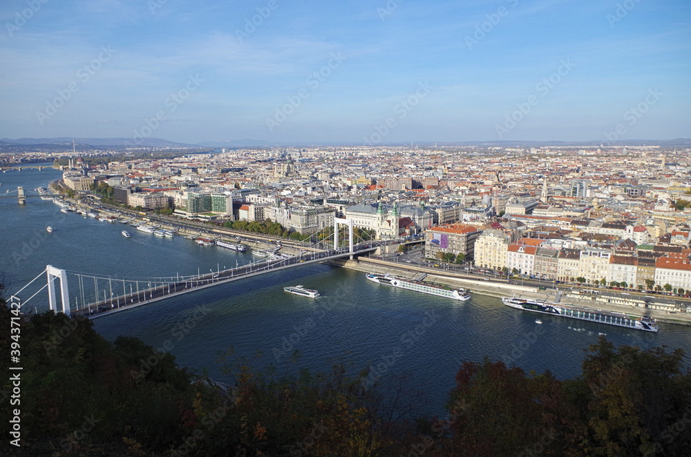 Obraz premium Budapest Danube Panorama